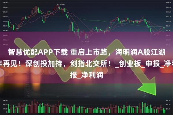 智慧优配APP下载 重启上市路，海明润A股江湖十年再见！深创投加持，剑指北交所！_创业板_申报_净利润