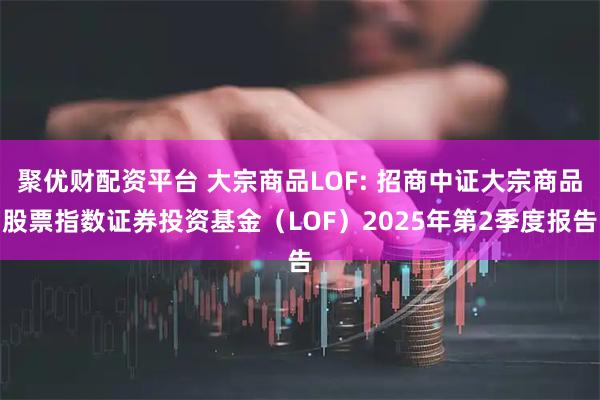 聚优财配资平台 大宗商品LOF: 招商中证大宗商品股票指数证券投资基金（LOF）2025年第2季度报告