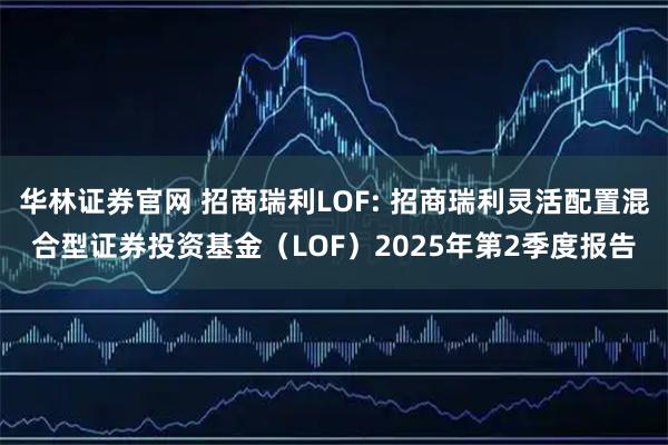 华林证券官网 招商瑞利LOF: 招商瑞利灵活配置混合型证券投资基金（LOF）2025年第2季度报告