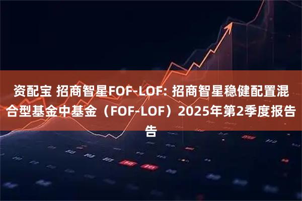 资配宝 招商智星FOF-LOF: 招商智星稳健配置混合型基金中基金（FOF-LOF）2025年第2季度报告