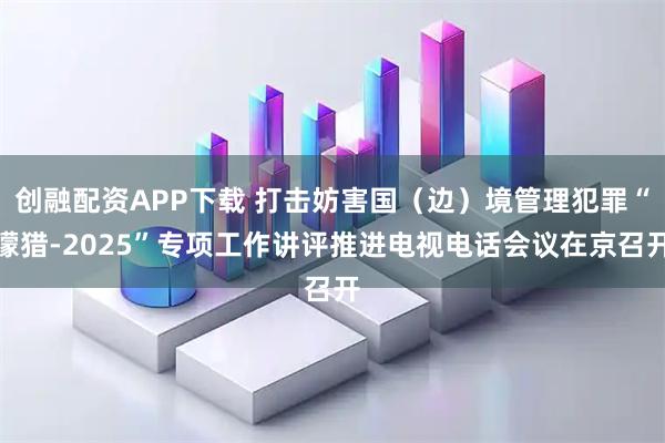 创融配资APP下载 打击妨害国(边)境管理犯罪“獴猎-2025”专项工作讲评推进电视电话会议在京召开