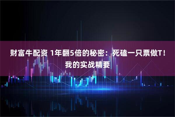 财富牛配资 1年翻5倍的秘密:死磕一只票做T!我的实战精要