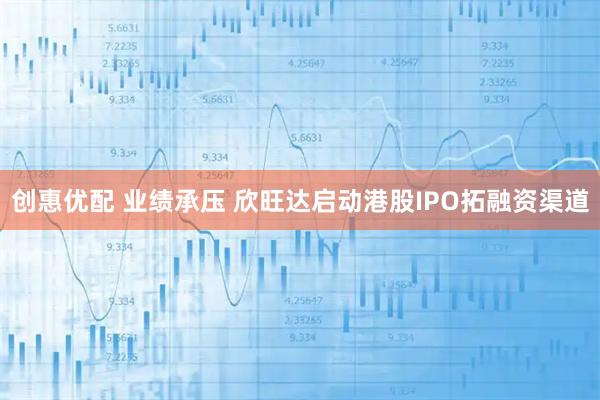 创惠优配 业绩承压 欣旺达启动港股IPO拓融资渠道